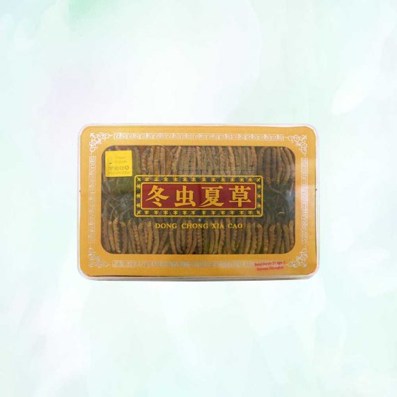 西藏冬虫夏草 (小) 38g Tibetan Cordyceps Small | 恒达企业 Hang Da Enterprise