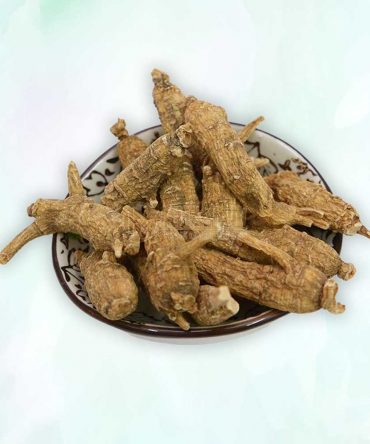 老皮原尾泡 Matured Ginseng