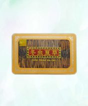 西藏冬虫夏草 (大) 38g Tibetan Cordyceps Big | 恒达企业 Hang Da Enterprise