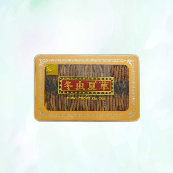 西藏冬虫夏草 (大) 38g Tibetan Cordyceps Big | 恒达企业 Hang Da Enterprise