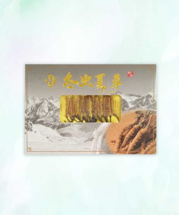 西藏冬虫夏草 (大) Tibetan Cordyceps Big